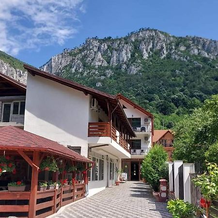 Апартаменты Casa Mimi Бэиле-Еркулане Экстерьер фото