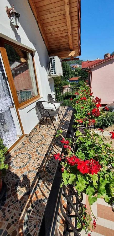 Апартаменты Casa Mimi Бэиле-Еркулане Экстерьер фото