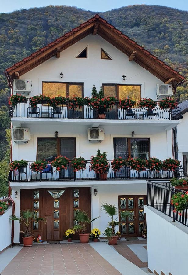 Апартаменты Casa Mimi Бэиле-Еркулане Экстерьер фото