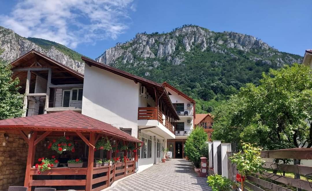 Апартаменты Casa Mimi Бэиле-Еркулане Экстерьер фото